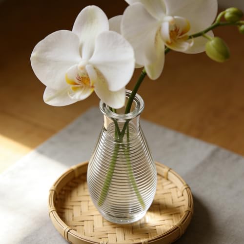 Vases en verre transparent côtelé petit format centre table - 7