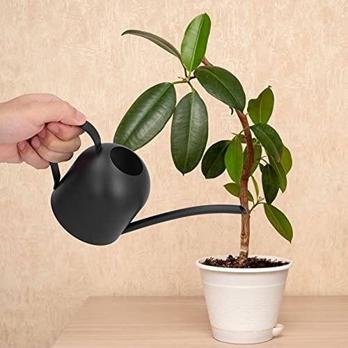 Indoor Watering Can 500ML Stainless Steel Watering Pot Long Spout Sprinkling Pot for Indoor House Bonsai Plants Outdoor Garden Flower