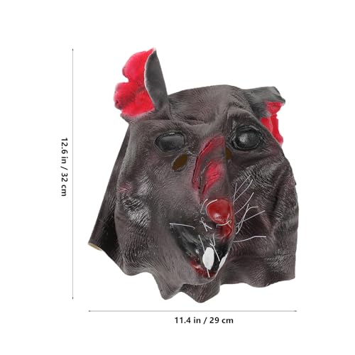 Photo complémentaire