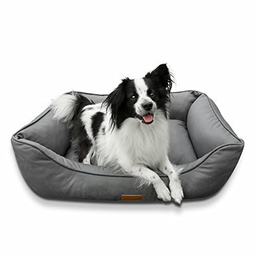 your GEAR Belluno Orthopädisches Hundebett 60x80 cm – Memory-Foam Hundekissen für mittelgroße & kleine Hunde, Oeko-TEX, waschbar & hygienisch, ergonomisch & rutschfest