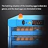 Digitale Automatische Incubators, Hatching Egg Incubator 192 Eieren Incubator Machine met LED-display Poultry Hatcher… - Afbeelding 3