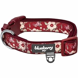 Blueberry Pet Soft & Comfy Oriental Flower Neoprene Padded Adjustable Dog Collar, Tuscan Red, Medium, Neck 14.5″-20″