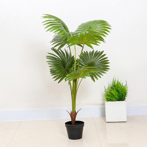 [LJKI] ap lHϗtA tFCNO[ L R Q쏜sv ϗtA ϗt tFCN 傫  rO sv ϗA ^ V̖ JXj zj 160cm ze CeA A  Ύ