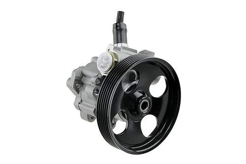 Advantage Auto Parts Compatible with Scudo Power Steering Pump 2007-2016