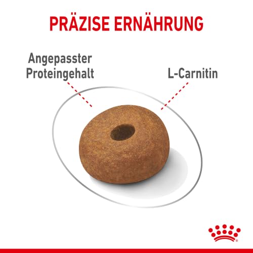 ROYAL CANIN Light Weight Care Maxi Trockennahrung für Hunde – 12 kg