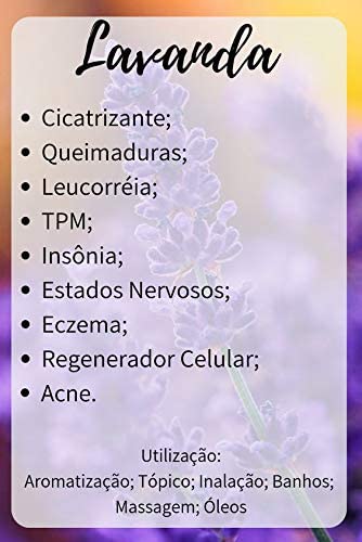 KIT BÁSICO DE AROMATERAPIA - 3 Óleos Essenciais 100% Puros. Lavanda, Limão e Eucalipto.
