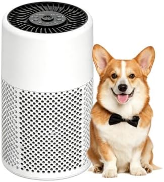 CHIVALZ Luftreiniger für Schlafzimmer, Allergiker mit Aromatherapie, Weiß | Air Purifier mit HEPA-Filter, 24dB Schlafmodus mit Nachtlicht, Timer Stunden,360° Lufteinlass, 1 Pack+3