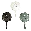 Sand Dollar Cast Iron Wall Hook 6 1/2 Inch (Set of 3) 41wFcgSgqaL. SS100
