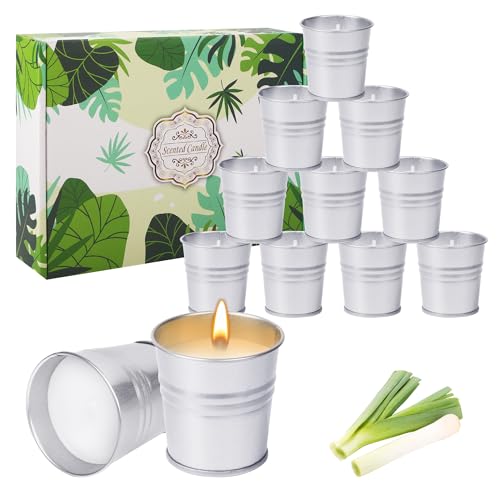 12er-Pack Citronella kerze outdoor für den Außenbereich, Duftkerzen, Duftkerzen geschenkset,...