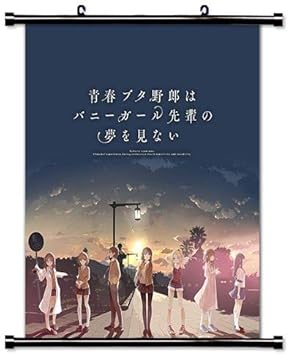 Kaplan Retail Ltd Rascal Does Not Dream Of Bunny Girl Senpai Seishun Buta Yarou Wa Bunny Girl Senpai No Yume Wo Minai Poster De Tela Para Pared 40 6 X 48 3 Cm