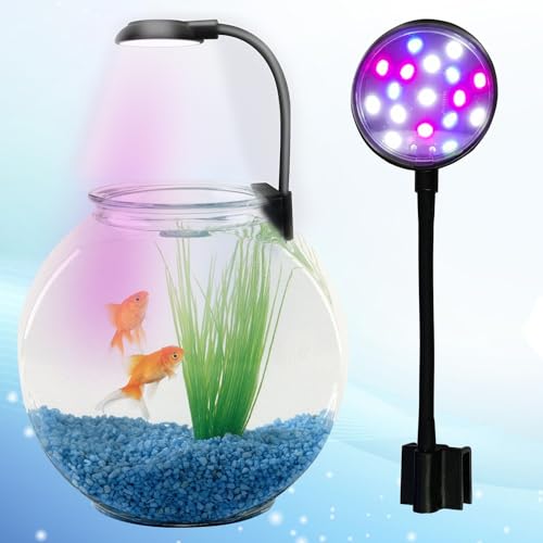 Image of JAINSONS PET PRODUCTS Multicolor Mini Clip Lamp | 7W Aquarium Light | Huayao HY-130R Adjustable Clip-On Lamp for Fish Tank (Pack of 1)