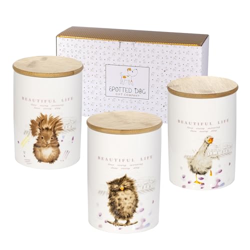 SPOTTED DOG GIFT COMPANY Tea Coffee Sugar Canisters, Set of 3 Ceramic Storage Jars Containers with Lids Airtight, Squirrel Owl Goose Themed Kitchen Accessories Home Decor, Gift for Animal Enthusiasts