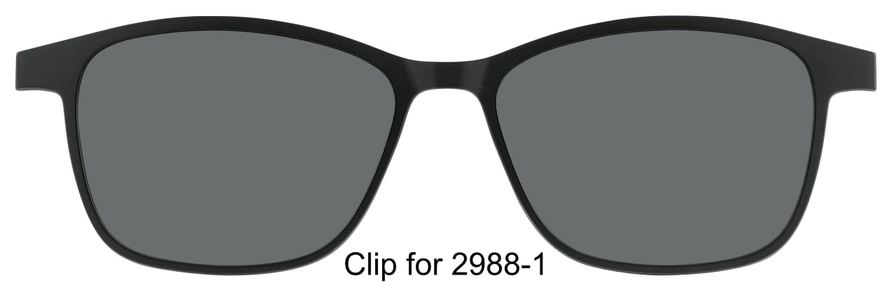 Generisch ChangeMe! Brille mit Sonnenclip Modell 2920-001 | Sonnenclip inklusive, Wechselbügel-System