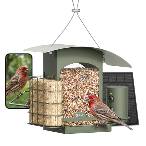 Image of Birdfy Smart Bird Feeder with Camera Solar Powered, Gift for Bird Lovers