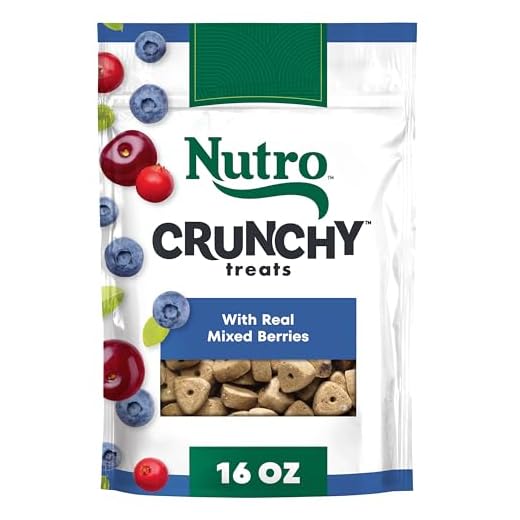 Nutro Crunchy Dog Treats with Real Mixed Berries, Training Treats for Dogs, 16 oz. Bag