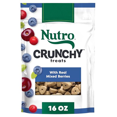 Nutro Crunchy Dog Treats with Real Mixed Berries, Training Treats for Dogs, 16 oz. Bag