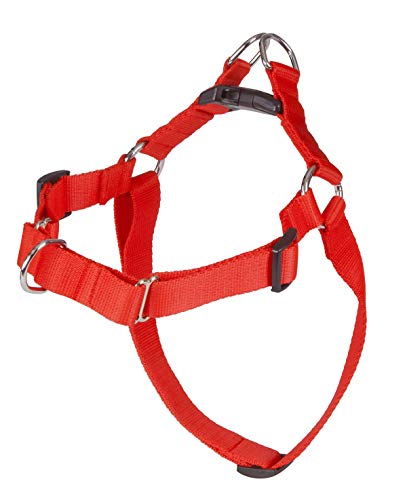 Dingo Arnés para perros grande 120 (95-125 cm) de ancho 3 cm rojo sin tirones de correa de polipropileno antitirones para su perro arnés de pecho