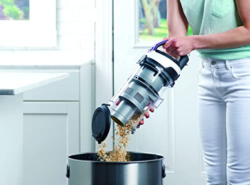 Eureka Powerspeed Lightweight Bagless Upright Vacuum Cleaner With Pet Turbo Brush, For Carpet And Hard Floor, Plum #TOP5