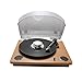 Record Weight Stabilizer by FEMELI,Turntable Weight Clamps-Low Profile to Fits Under Dust Cover of Turntable Vinyl Disc LP Record Player (Silver)