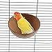 VTurboWay 2 Pack Bird Nest Natural Coconut Shell Parrot Nest Finch House Canary Bed Hatching Nest Breeding Nesting for Cage Sleeping Bird Bed