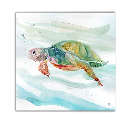 Wexford Home Turtle Tropics II Gallery Wrapped Canvas Wall Art, 24x 24,