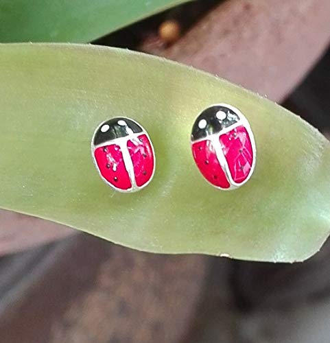 Ptn Small Red Ladybug Earrings Stering Silver Hypoallergenic Earrings (E13008) #TOP2
