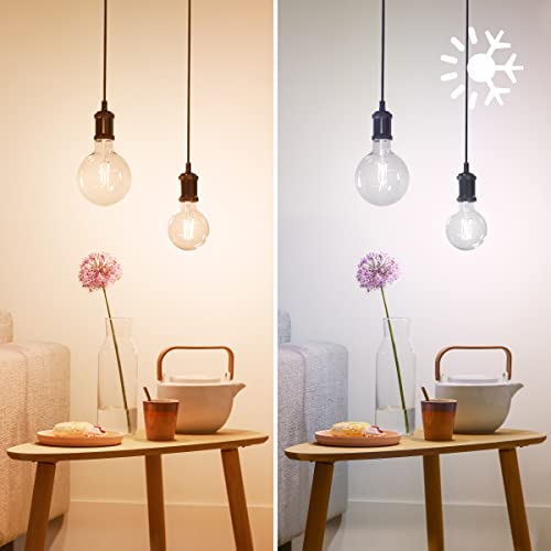 Philips Globo Smart LED White ambiance