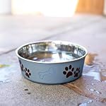 Loving Pets Bella Dog Bowls- Stainless Steel Dog & Cat Bowls - Spill Proof Dog Food Bowl, Cat Bowl, Puppy Essentials & Pet Supplies Great for Home & Travel (Medium 20-35 lbs, Blueberry) - Image 6