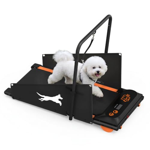 FYC Treadmill