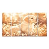 islandburner Bild auf Leinwand Goldener Welpe im Blumenfeld bei Sonnenuntergang für Wohnzimmer Tierliebhaber Fotogeschäft Bilder Wandbilder Poster