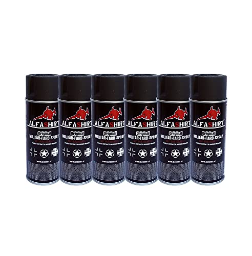 Pintura en espray RAL 7021 Wh 25397 contra el óxido en superficies exteriores