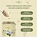 Oneroot 100% Organic Canadian Wildflower Honey - 17.6 Oz/1.1 Lbs, Unheated & Creamed - Nutrient-Rich, Natural Sweetener with Enzymes - Thick & Pure Raw Unfiltered Honey