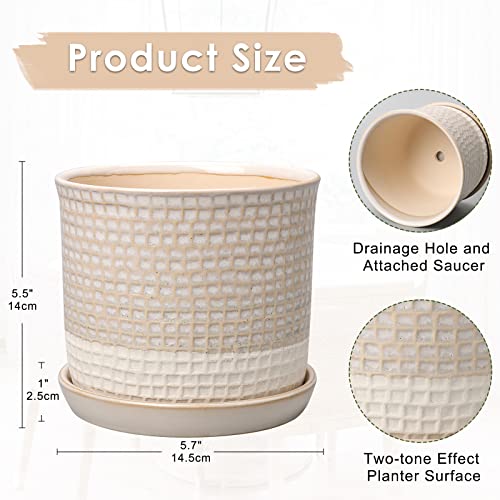 DILATATA-6-Inch-Plant-Pot-Ceramic-White-Planter-for-Indoor-Plants-with-Drainage-Hole-and-Attached-Saucer-Flower-Pot-Garden-Planter-Succulent-Plant-Pot-with-Bonded-Tray-Cactus-Plant-Pot DILATATA 6 Inch Plant Pot Ceramic White Planter for Indoor Plants with Drainage Hole and Attached Saucer Flower Pot Garden Planter Succulent Plant Pot with Bonded Tray Cactus Plant Pot