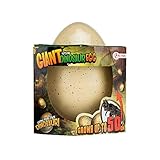 Bereits nach 24-48 Stunden kann man erste Risse auf der Eierschale erkennen