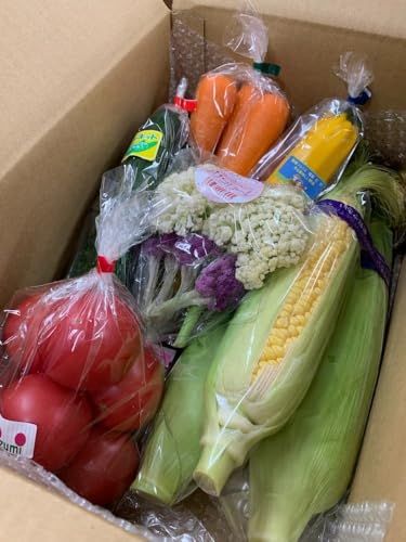 [定期便6か月]道の駅まくらがの里古河 季節の新鮮野菜おまかせAセット ※北海道・沖縄・離島への配送不可 | 野菜 詰合せ 詰め合わせ セット アソート 新鮮 道の駅 人気 ギフト 贈答 贈り物 プレゼント お中元 お歳暮 茨城県 古河市 直送 産地直送_BQ07