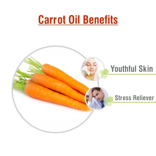 Image of Salvia Carrot Oil with Dropper 100% Natural Pure Undiluted Uncut Essential Oil - 15ml