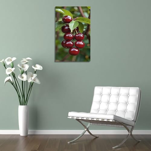 Affiche murale cerises sur branche moderne 40x60 suspension décorative - 5