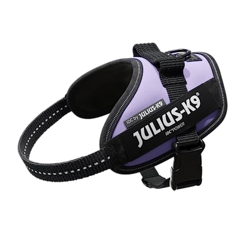 Julius-K9, Pettorina IDC Power, Taglia: XS / Mini-Mini, Colore: Viola