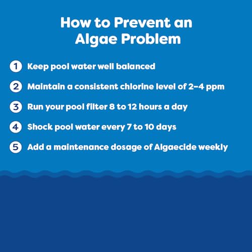 In The Swim F055001012AE Super Algaecide For Above Ground Or Inground Swimming Pools thumb #4