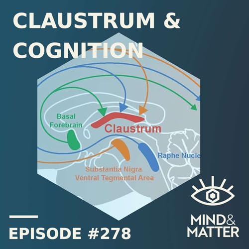 The Claustrum: Cognition, Consciousness, Alcohol & Psychedelics | 278