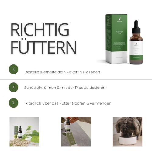 dogsome Nerven Liquid Unterstützt das Nervensystem deines Hundes | Beruhigung Hund | Stress Hund | Nerven Hund - Relax Hund | von Tierärzten entwickelt