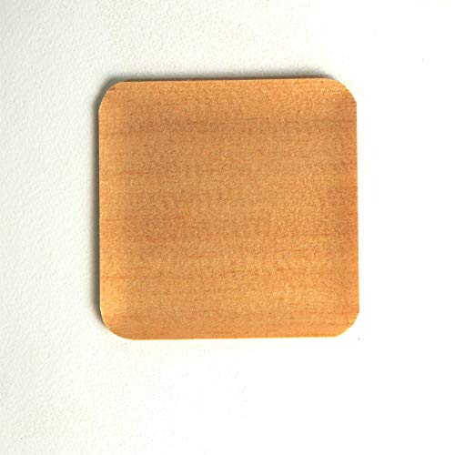 Y Xv[X  pM i100Zbg TCY:10cm×10cm) a Ԍ ĝ ؎M M v[g ()