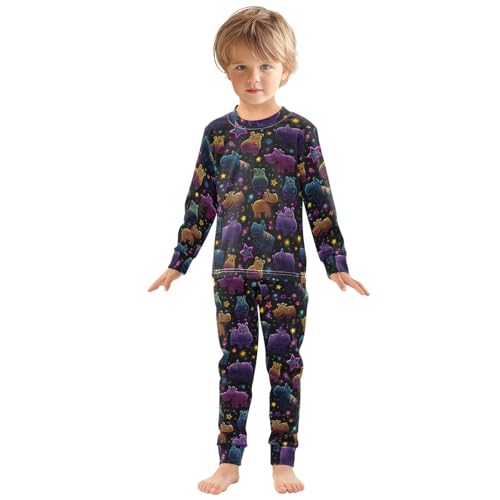 Pajama Sets Long Sleeve Colorful Hippo Star Background Soft Comfy Sleepwear 2 Piece PJS 3-8T2