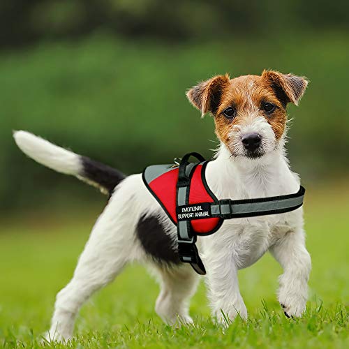 Plutus Pet Emotional Support Dog Vest, No Pull Dog Vest Harness With Easy Control Handle, Reflective Breathable Soft Padded And Adjustable, For Small Medium Large Dogs #TOP6