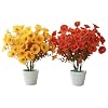6 Stems Silk Morning Glory Artificial Flower Arrangement Kit with 2 Flocked Pots, 14.5” Tall Indoor Fake Plants for Home Office Desk Decoration