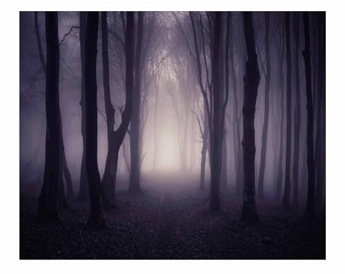 Allenjoy 10x8ft Misty Dark Forest Woods Halloween Backdrop for Photography Gloomy Grove Mystery Background for Portrait Magic Witch Wizard Sorcerer Ghost Themed Party Banner Decors Photo Props