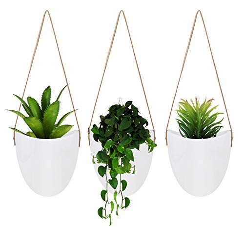 FairyLavie Maceta Colgante de Pared de Cerámica Cover