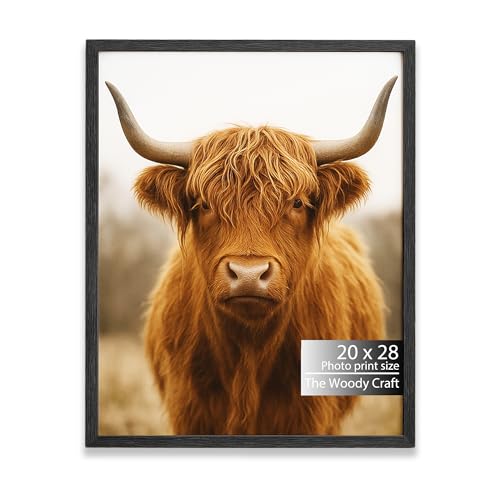 Image of 20x28 Photo Frame | Black Photo Frame For Wall | Premium Wall Frame | Wooden Photo Frame Crafted For Style | Rustic Big Photo Frames For Wall | Ideal Hanging Photo Frames For Wall Decoration