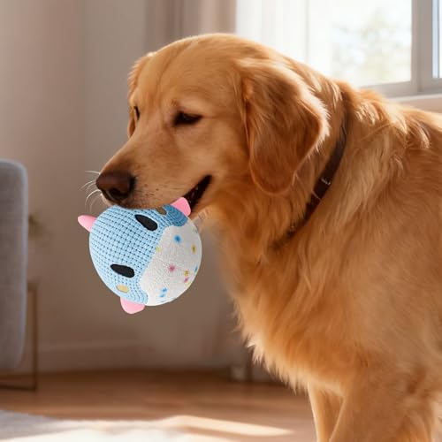 Balle mobile pour chien rechargeable : jouet roulant intelligent