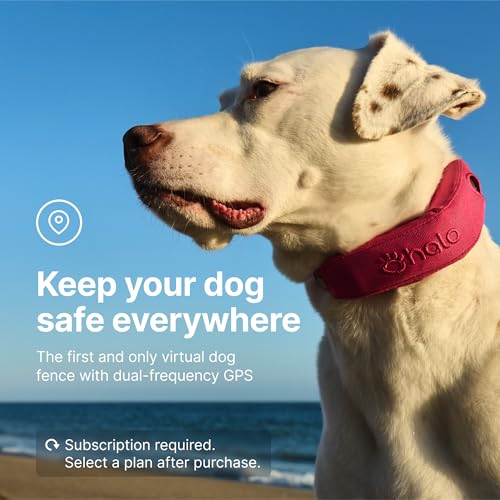 Halo Collar 4, GPS Wireless Dog Fence & Dog Training Collar with GPS Tracker, Subscription Required, Waterproof, Graphite, One Size